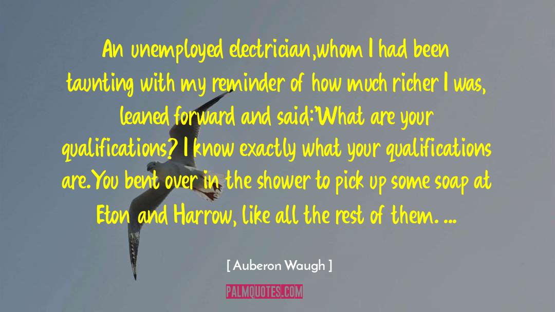Auberon Waugh Quotes: An unemployed electrician,whom I had