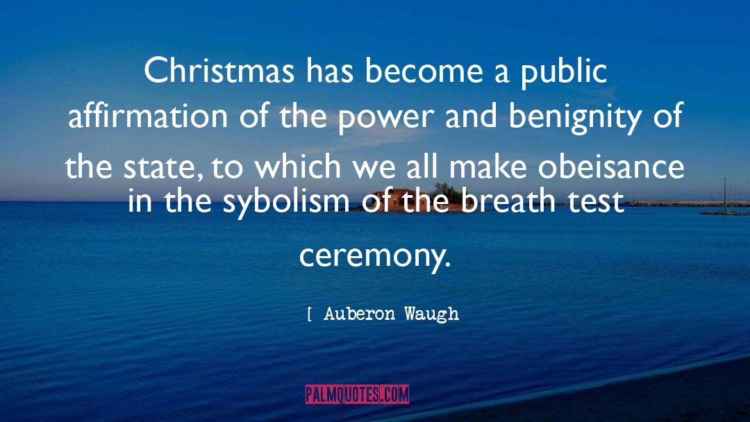Auberon Waugh Quotes: Christmas has become a public