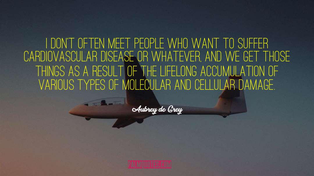 Aubrey De Grey Quotes: I don't often meet people