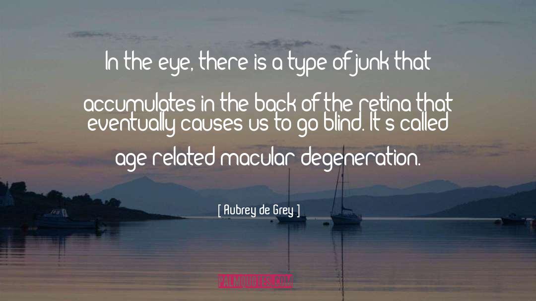 Aubrey De Grey Quotes: In the eye, there is