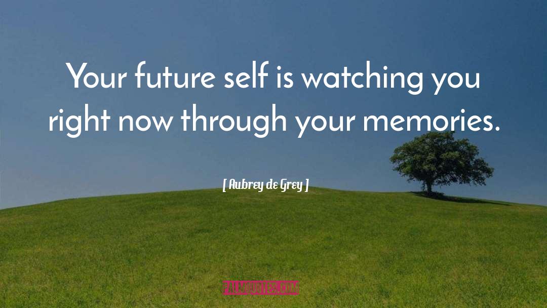 Aubrey De Grey Quotes: Your future self is watching