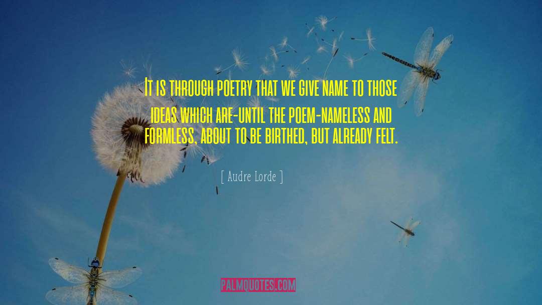 Audre Lorde Quotes: It is through poetry that