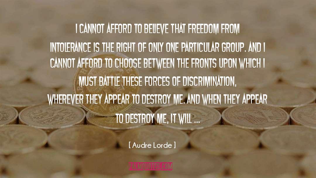 Audre Lorde Quotes: I cannot afford to believe