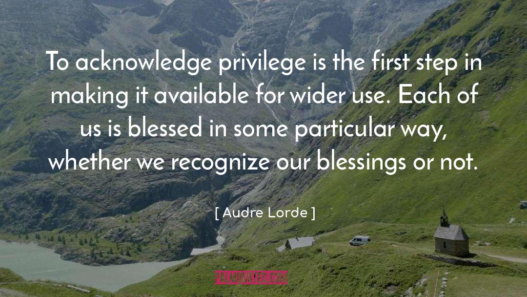 Audre Lorde Quotes: To acknowledge privilege is the