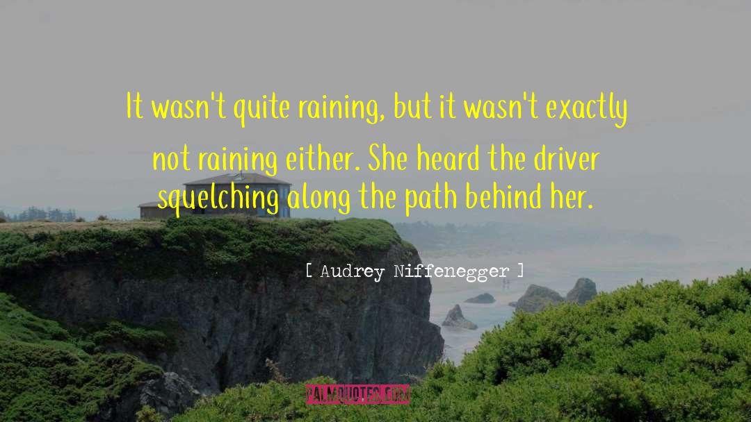 Audrey Niffenegger Quotes: It wasn't quite raining, but