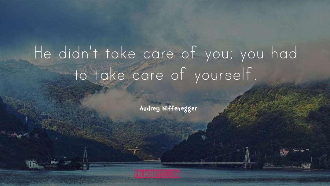 Audrey Niffenegger Quotes: He didn't take care of