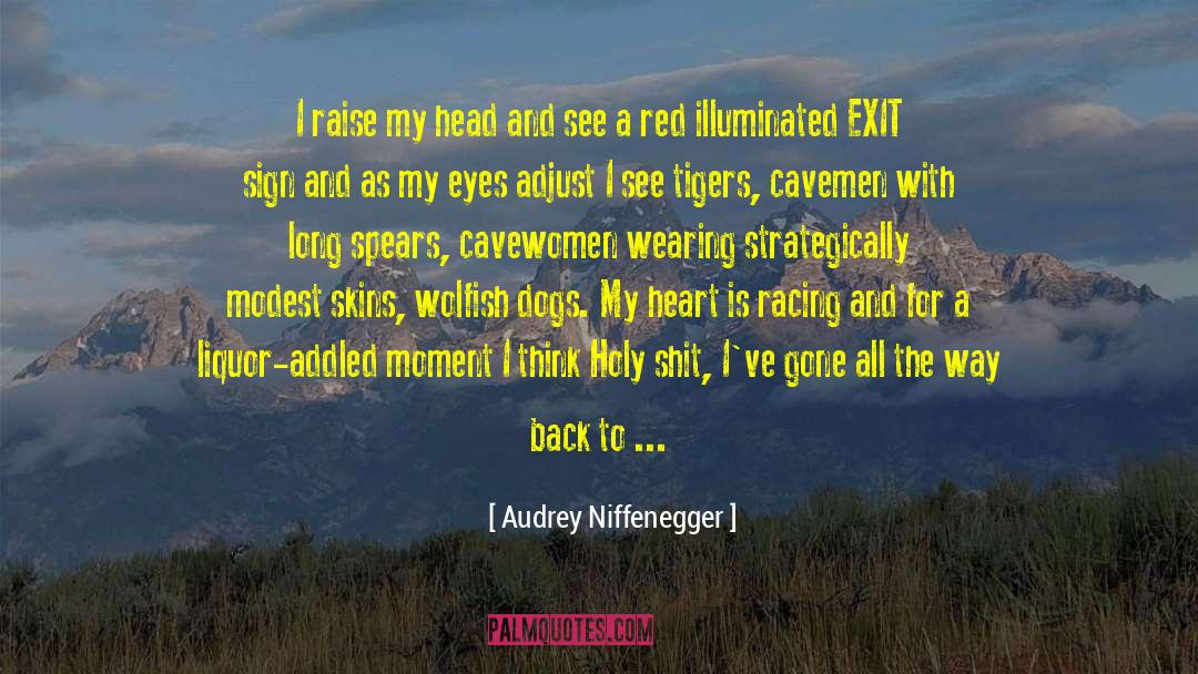 Audrey Niffenegger Quotes: I raise my head and