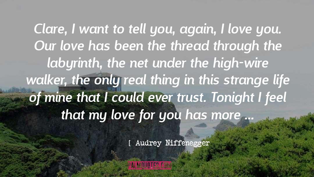 Audrey Niffenegger Quotes: Clare, I want to tell