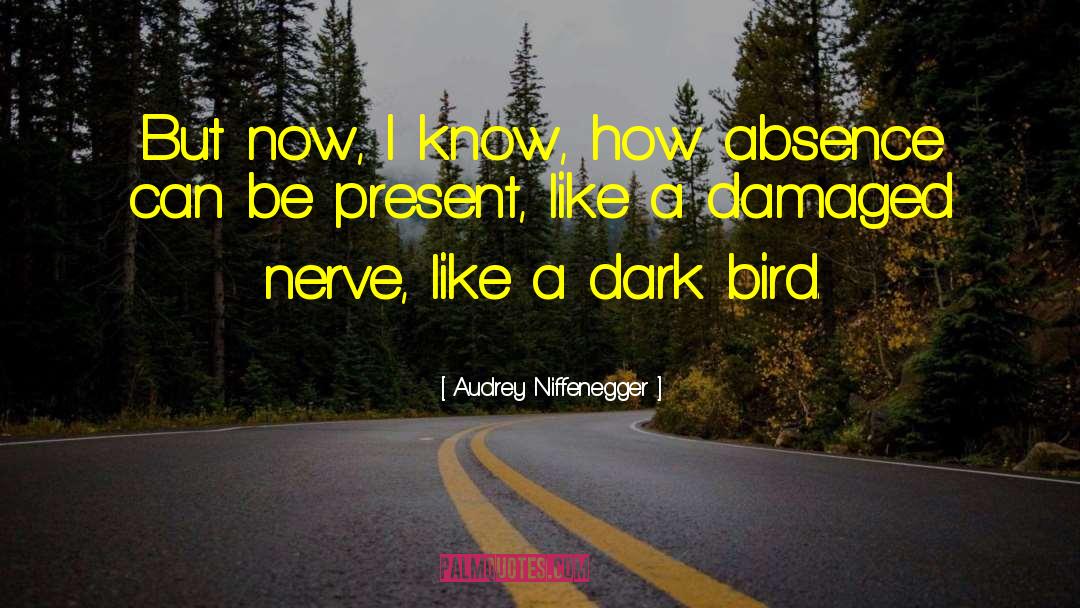 Audrey Niffenegger Quotes: But now, I know, how