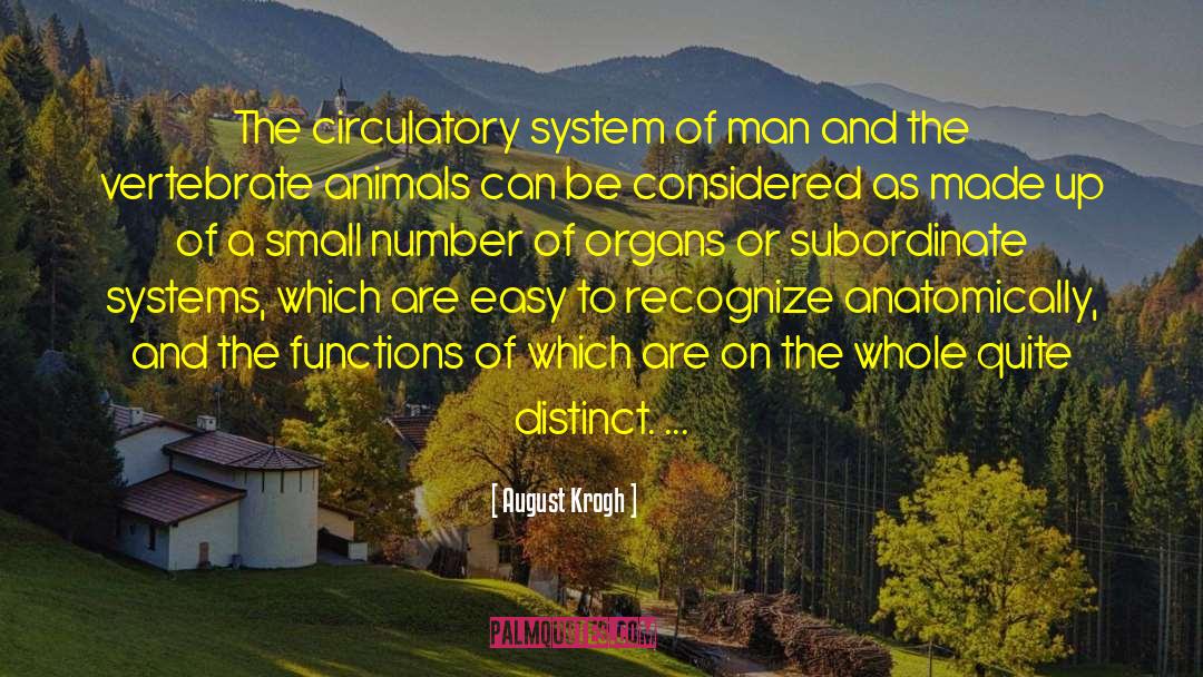 August Krogh Quotes: The circulatory system of man