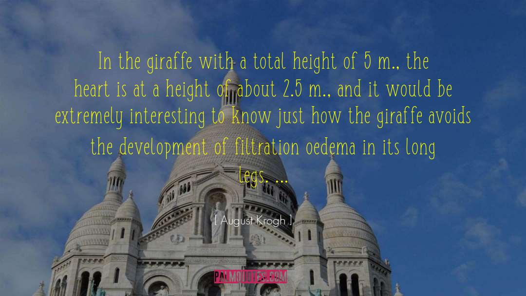 August Krogh Quotes: In the giraffe with a