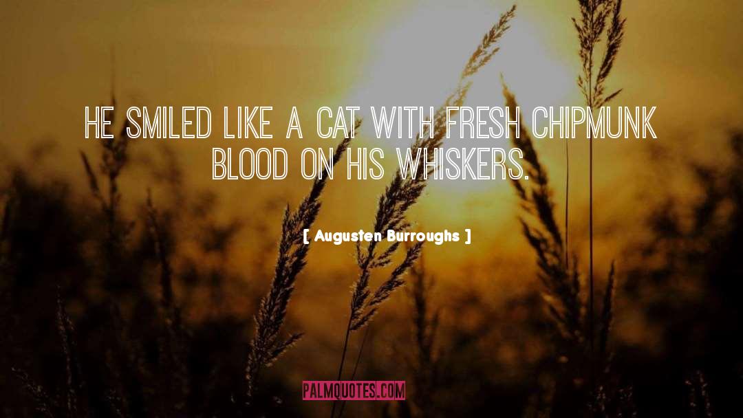 Augusten Burroughs Quotes: He smiled like a cat