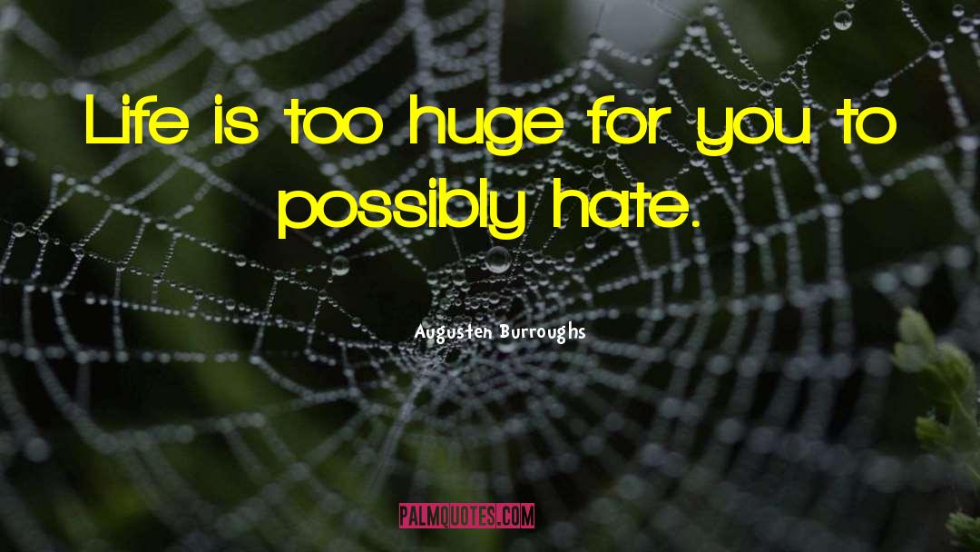 Augusten Burroughs Quotes: Life is too huge for