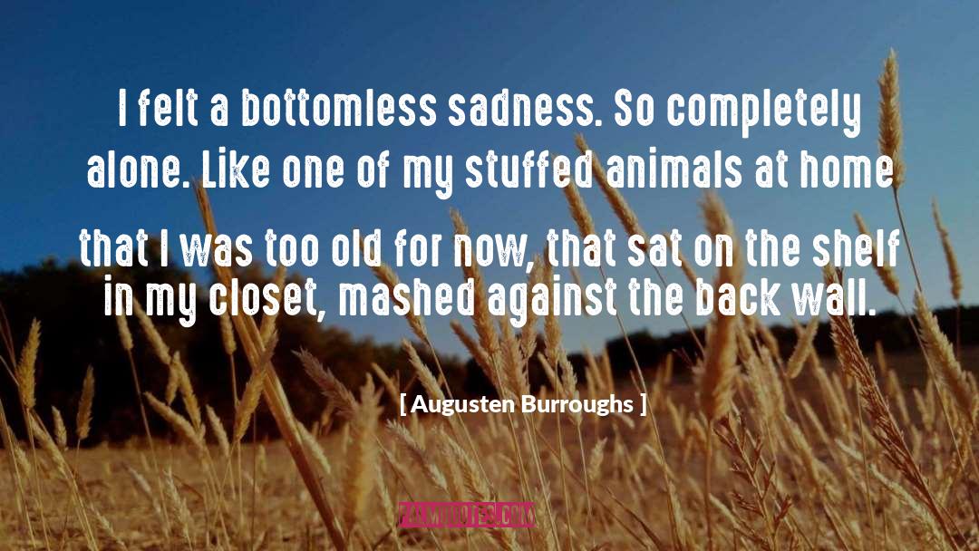 Augusten Burroughs Quotes: I felt a bottomless sadness.