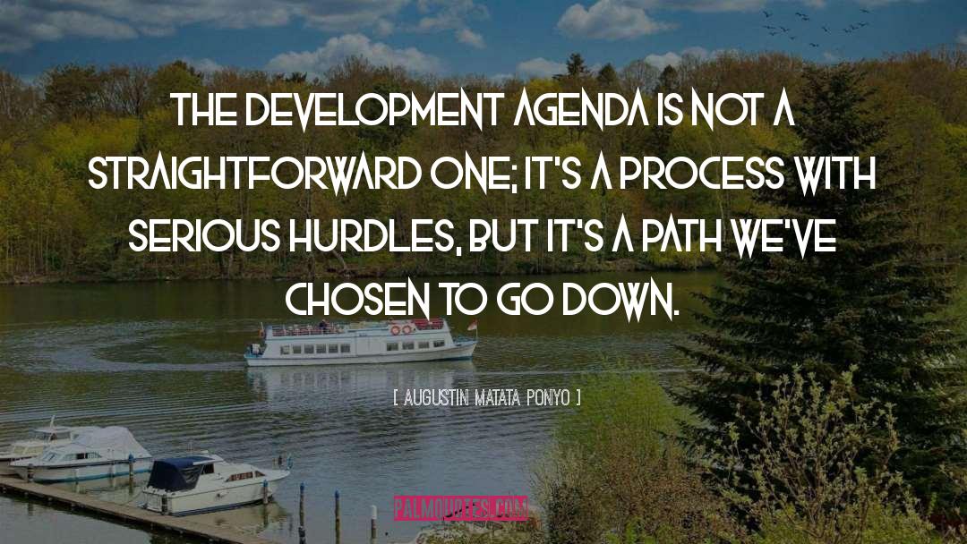 Augustin Matata Ponyo Quotes: The development agenda is not