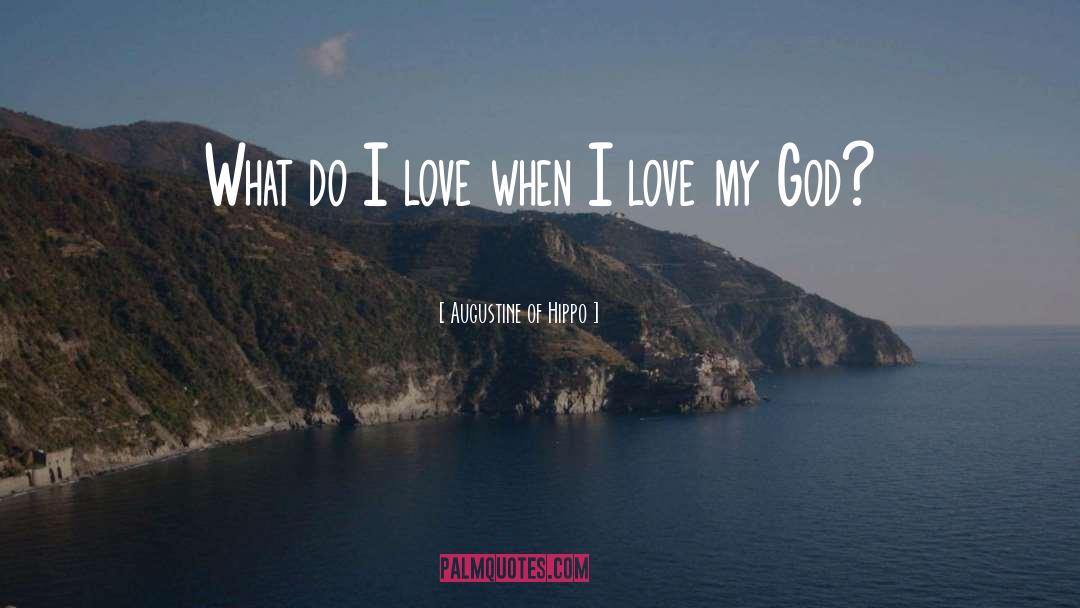 Augustine Of Hippo Quotes: What do I love when