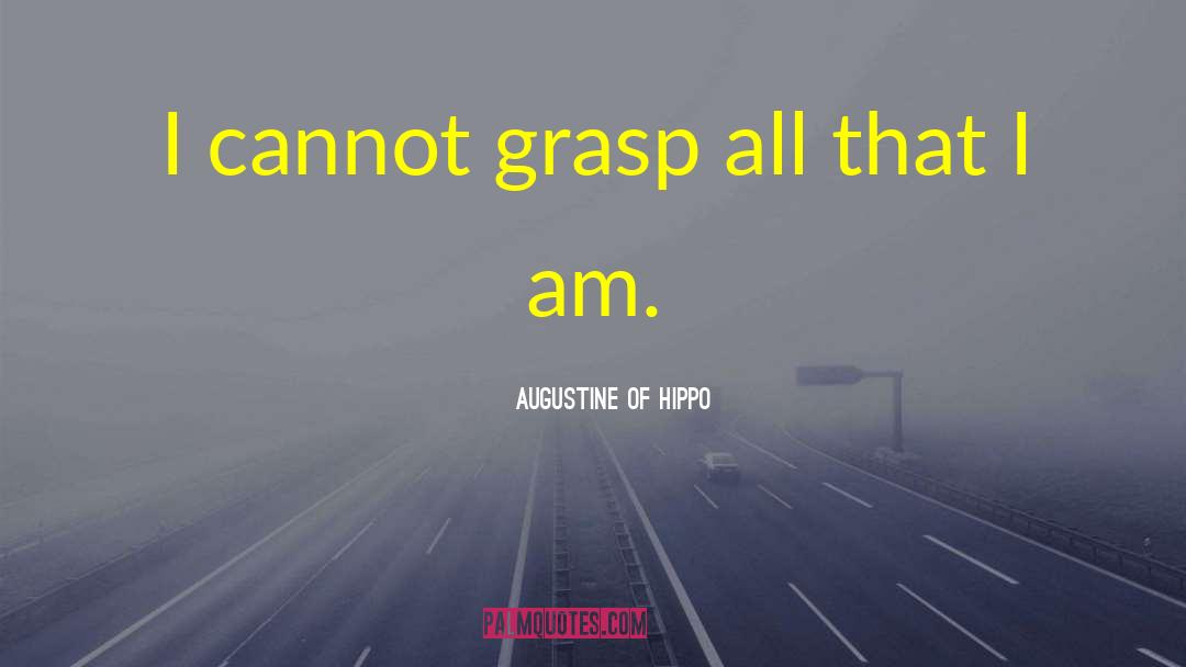 Augustine Of Hippo Quotes: I cannot grasp all that