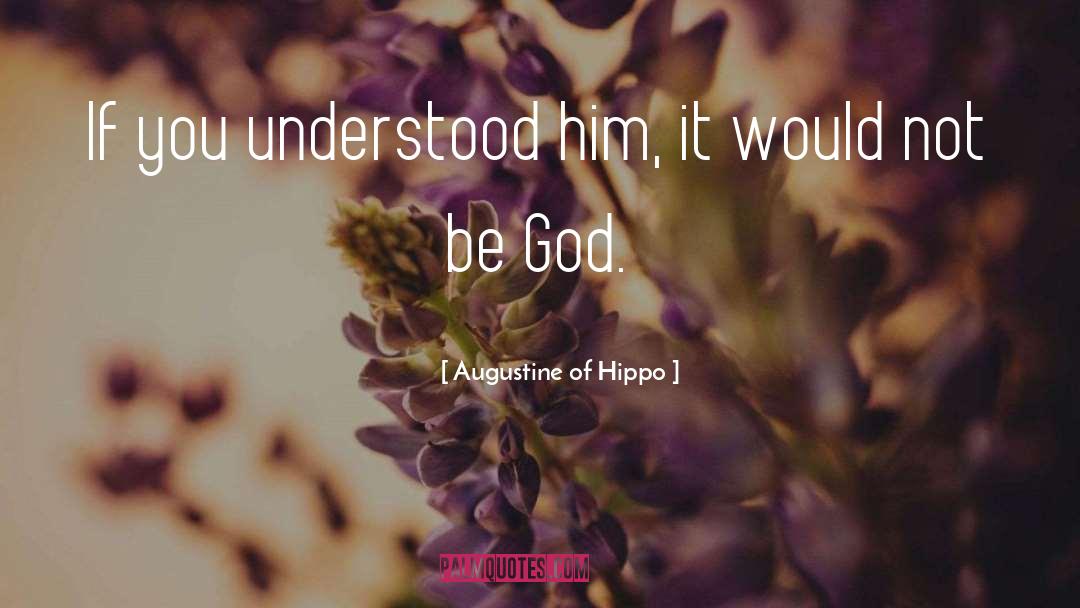 Augustine Of Hippo Quotes: If you understood him, it