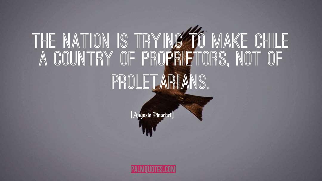 Augusto Pinochet Quotes: The nation is trying to