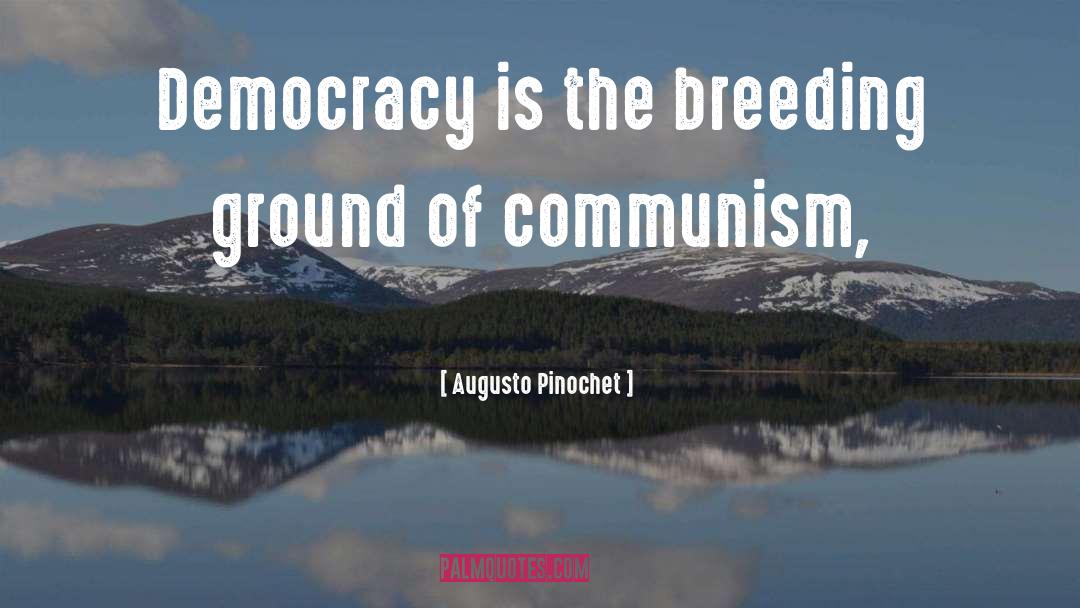 Augusto Pinochet Quotes: Democracy is the breeding ground