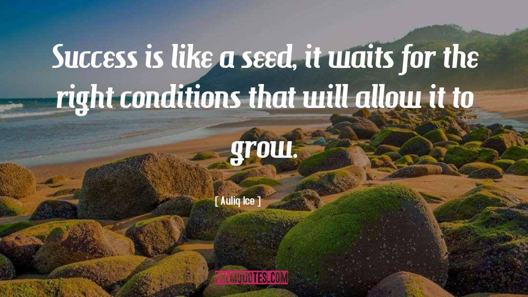 Auliq Ice Quotes: Success is like a seed,