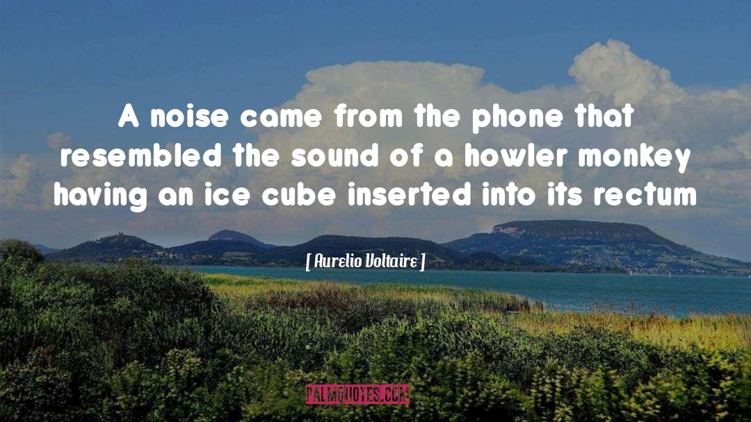 Aurelio Voltaire Quotes: A noise came from the