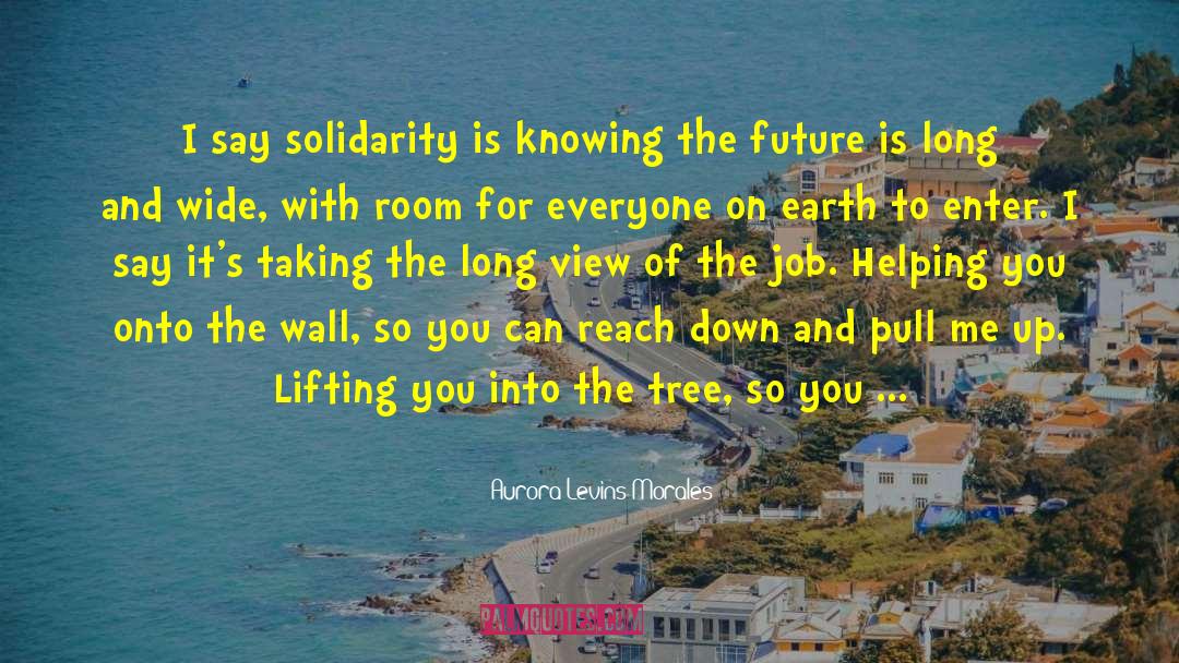 Aurora Levins Morales Quotes: I say solidarity is knowing