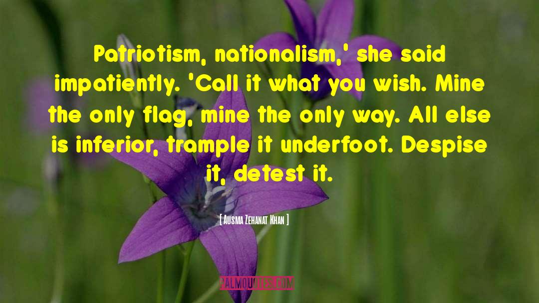 Ausma Zehanat Khan Quotes: Patriotism, nationalism,' she said impatiently.