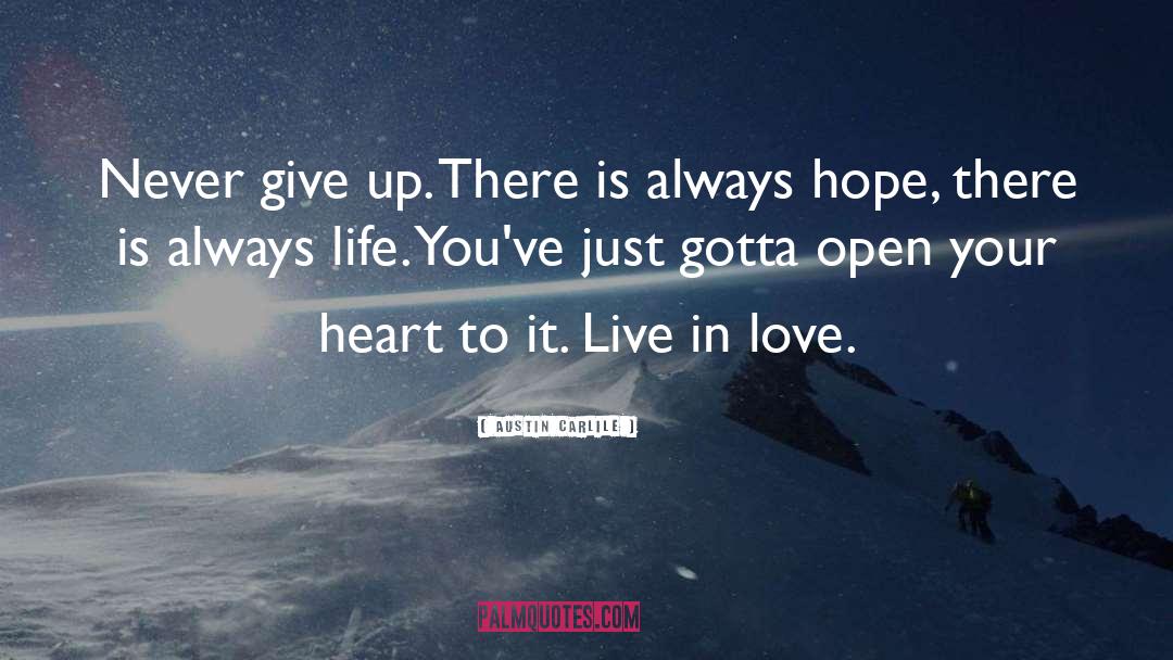 Austin Carlile Quotes: Never give up. There is