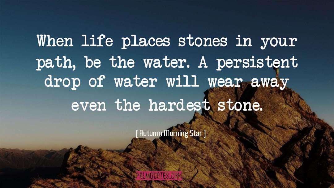 Autumn Morning Star Quotes: When life places stones in