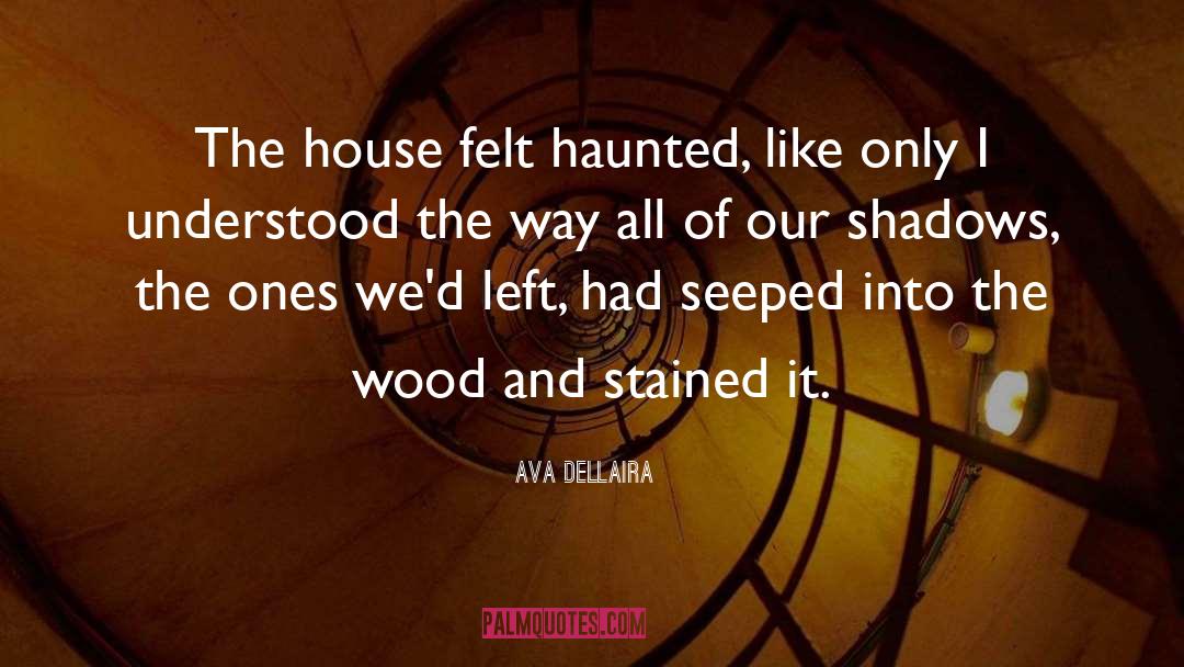 Ava Dellaira Quotes: The house felt haunted, like