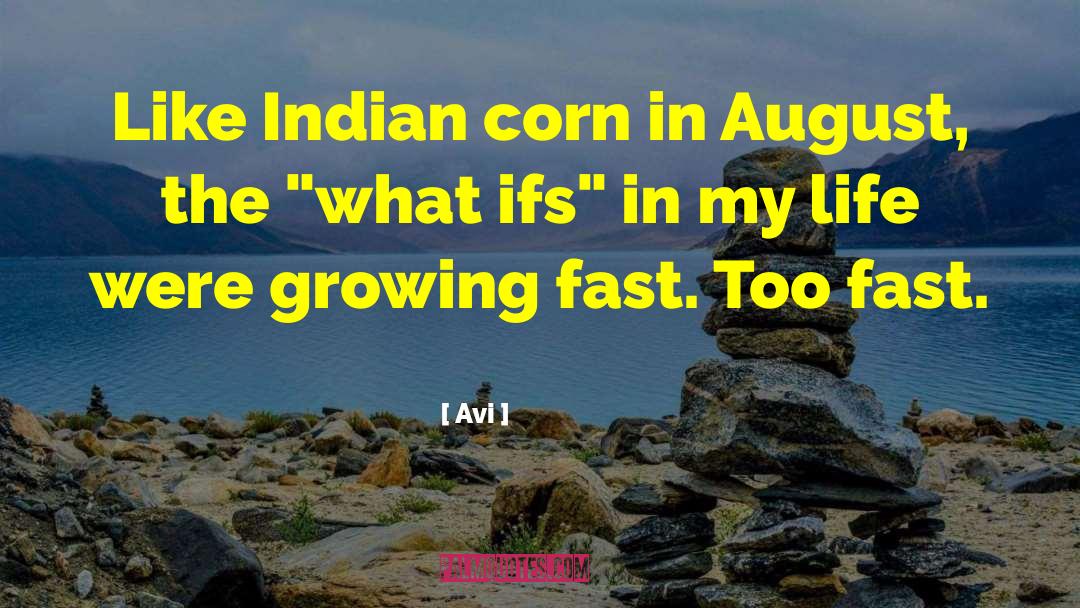 Avi Quotes: Like Indian corn in August,