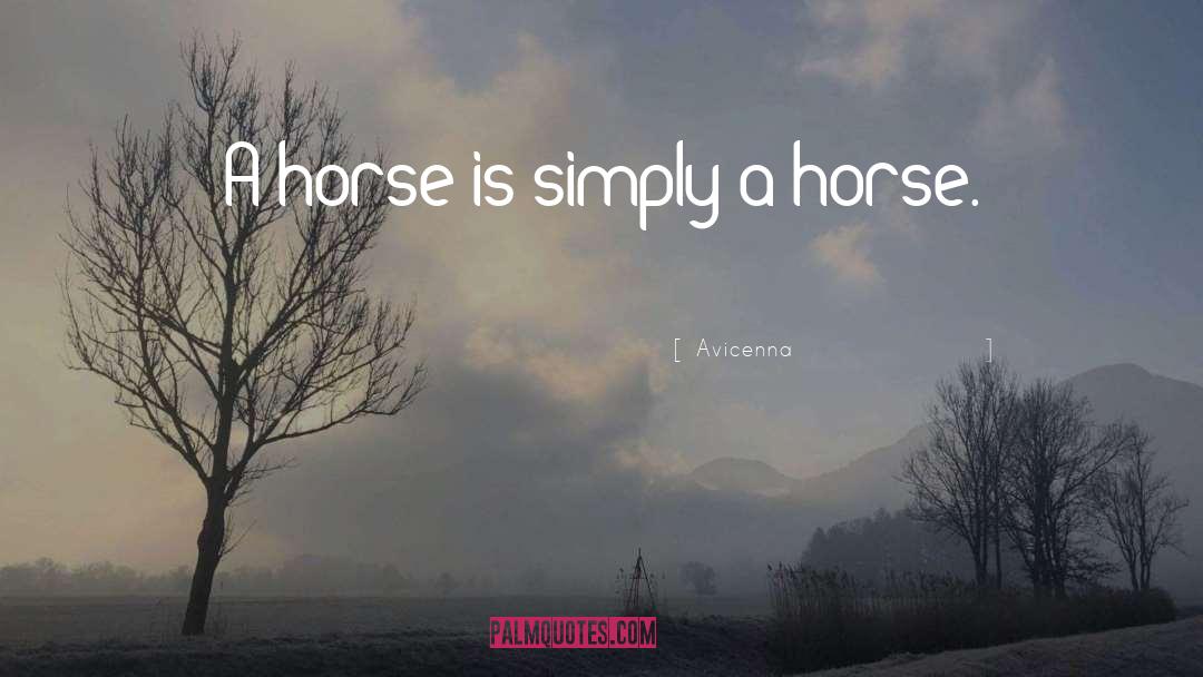 Avicenna Quotes: A horse is simply a