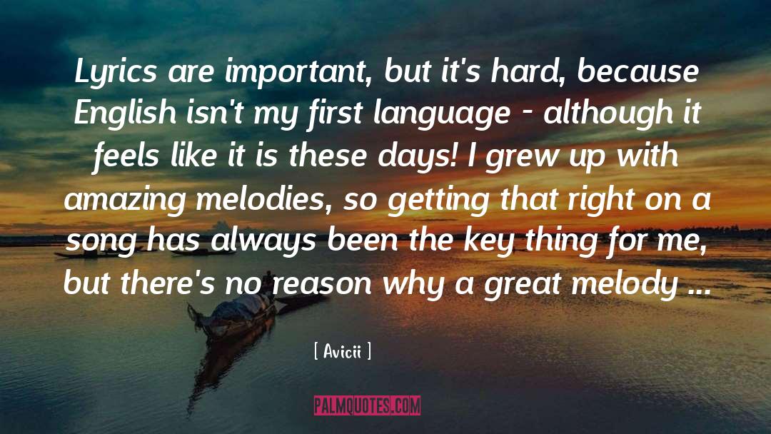 Avicii Quotes: Lyrics are important, but it's