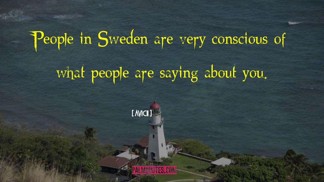 Avicii Quotes: People in Sweden are very