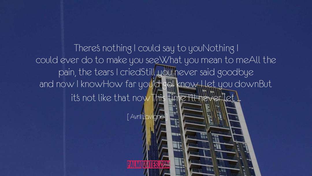 Avril Lavigne Quotes: There's nothing I could say