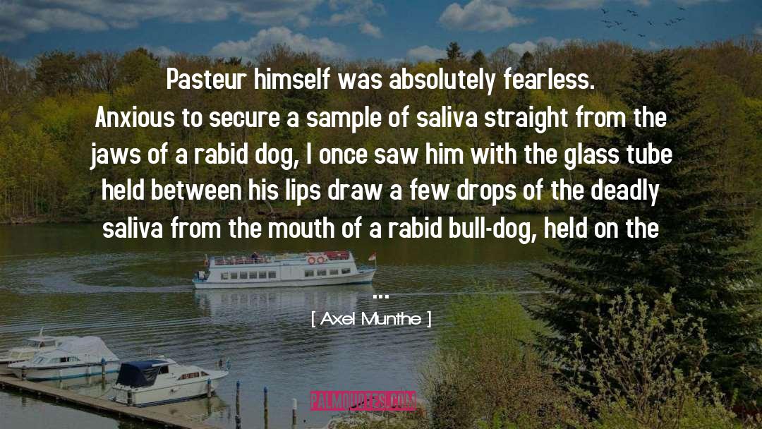 Axel Munthe Quotes: Pasteur himself was absolutely fearless.