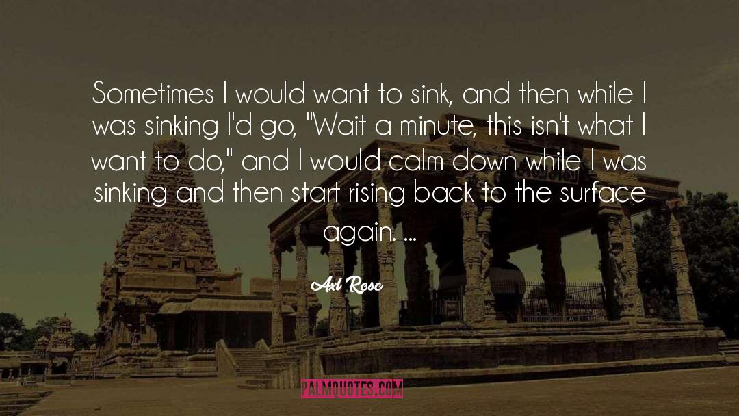 Axl Rose Quotes: Sometimes I would want to