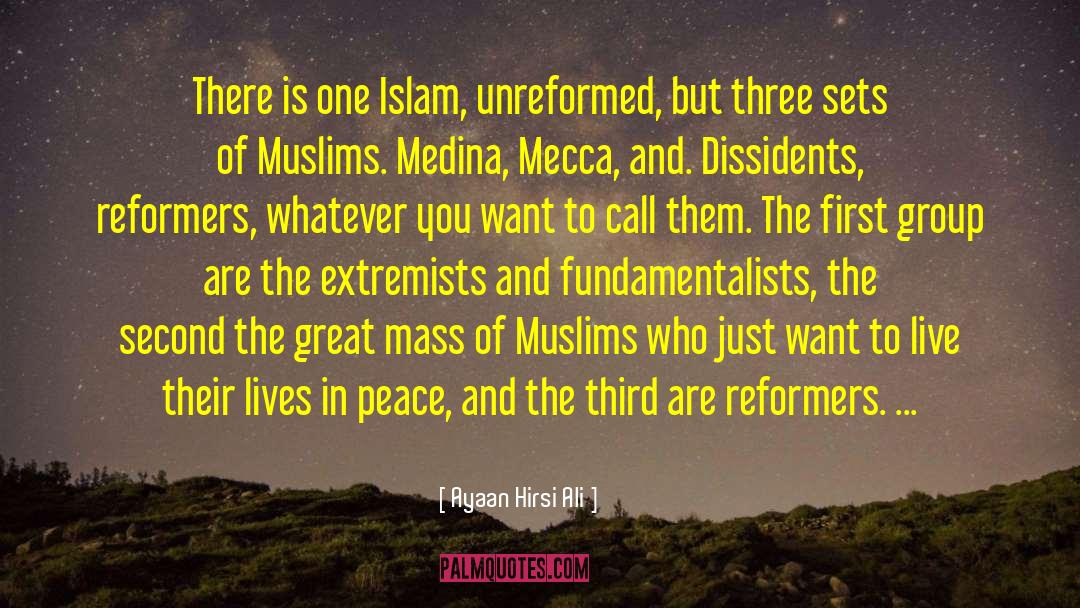 Ayaan Hirsi Ali Quotes: There is one Islam, unreformed,