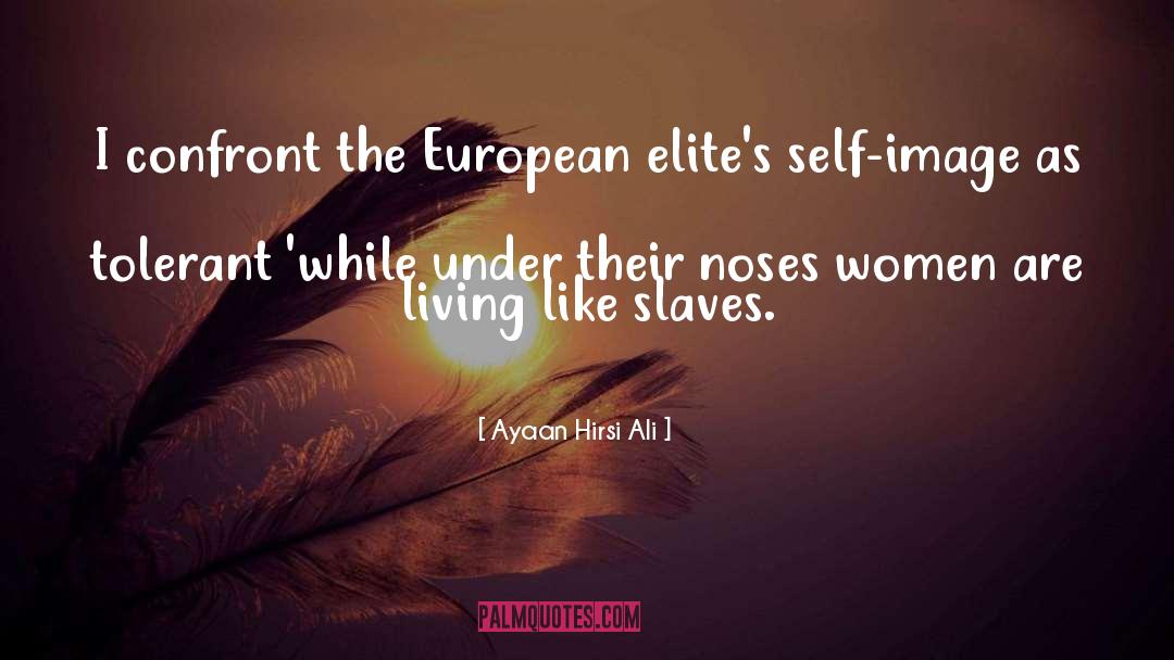 Ayaan Hirsi Ali Quotes: I confront the European elite's