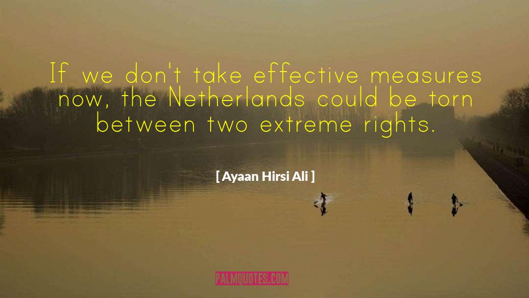 Ayaan Hirsi Ali Quotes: If we don't take effective
