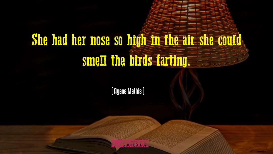 Ayana Mathis Quotes: She had her nose so