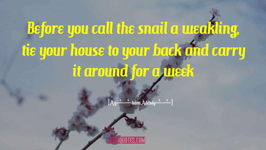 Ayọ̀bámi Adébáyọ̀ Quotes: Before you call the snail