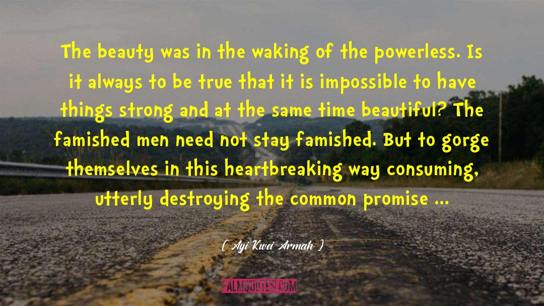 Ayi Kwei Armah Quotes: The beauty was in the