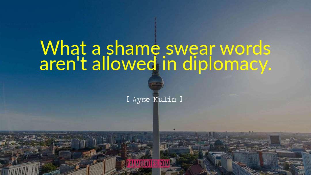Ayse Kulin Quotes: What a shame swear words