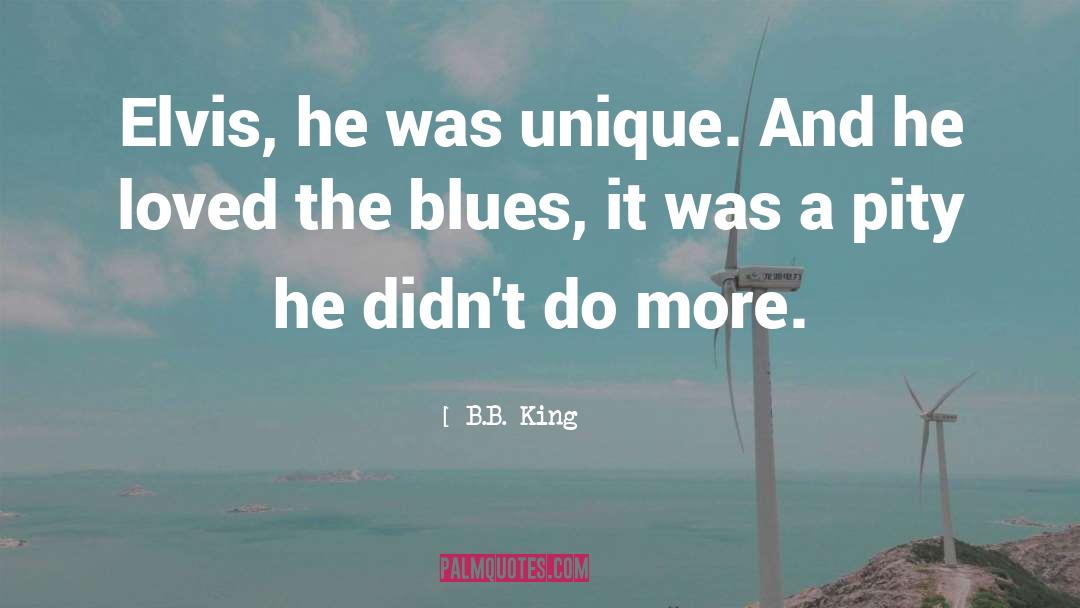 B.B. King Quotes: Elvis, he was unique. And