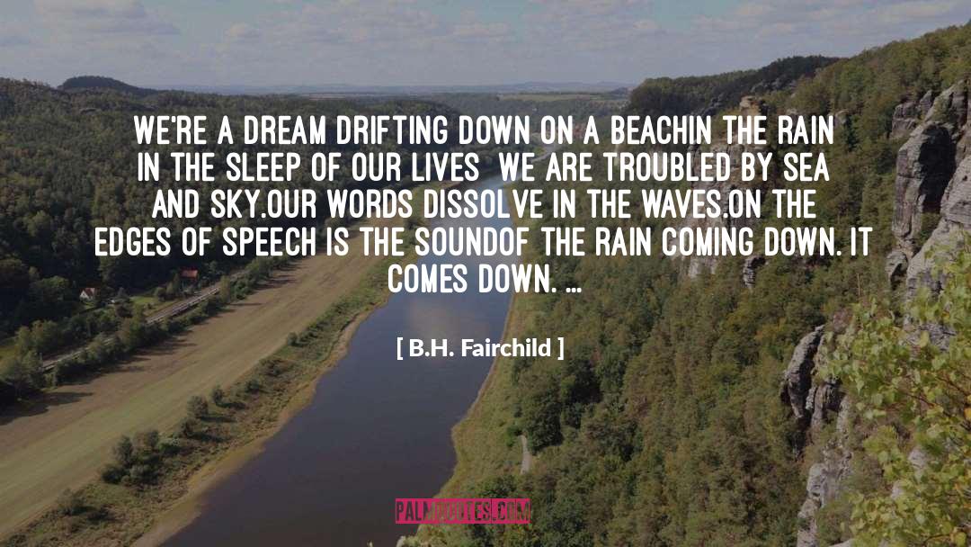 B.H. Fairchild Quotes: We're a dream drifting down