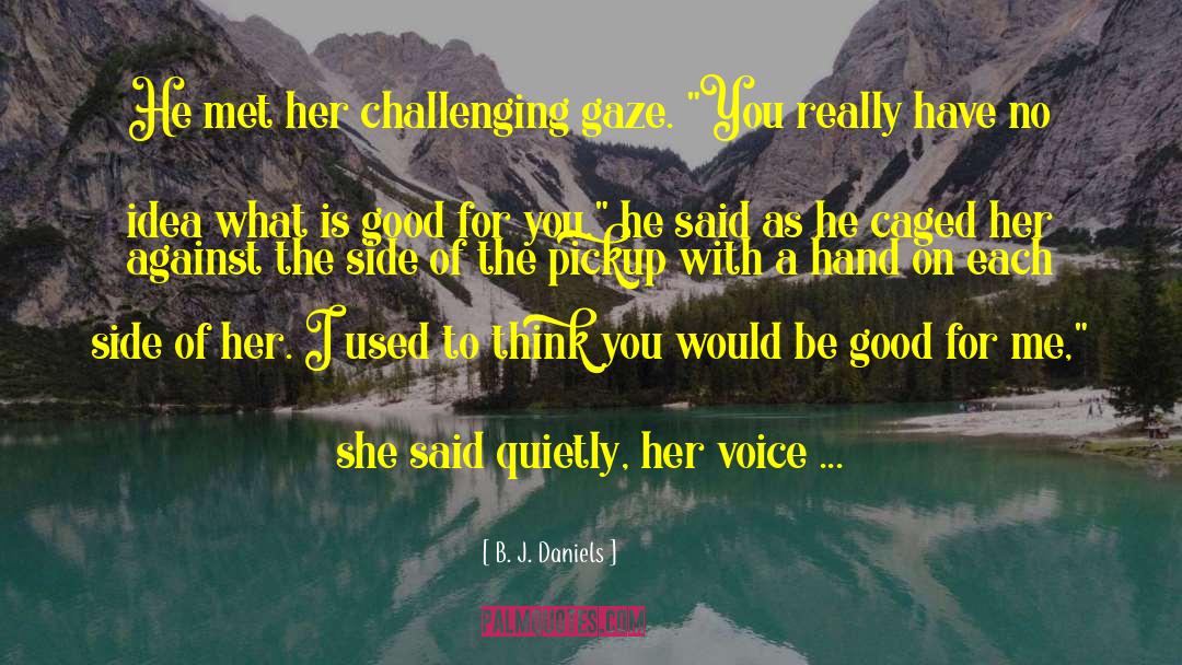 B. J. Daniels Quotes: He met her challenging gaze.