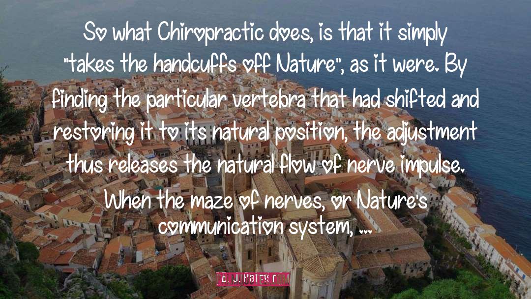 B. J. Palmer Quotes: So what Chiropractic does, is