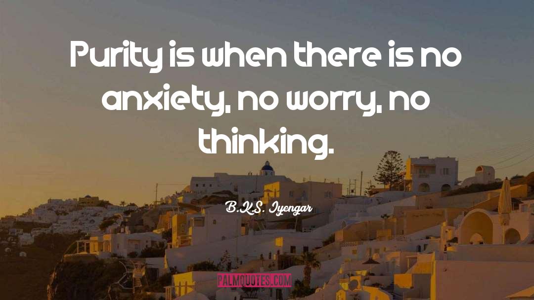 B.K.S. Iyengar Quotes: Purity is when there is
